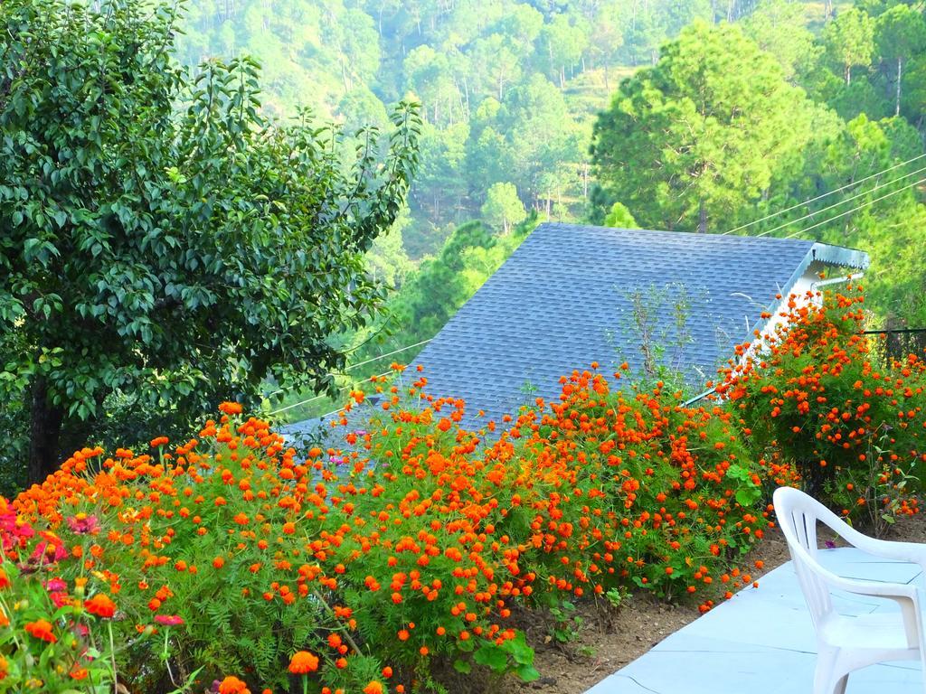 Hostie Sharanam - 2Bhk Pvt Mountain Villa, Majkhali Ranikhet Exterior foto